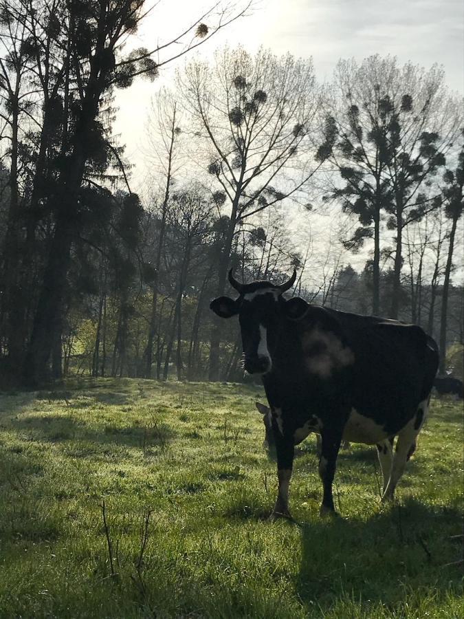 Gezellige Villa Met Open Haard En Zonnige Tuin. Doische Exteriér fotografie