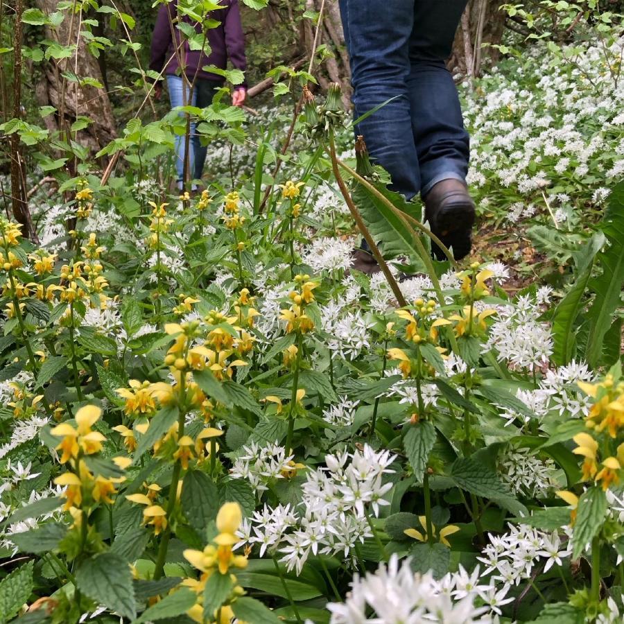 Gezellige Villa Met Open Haard En Zonnige Tuin. Doische Exteriér fotografie