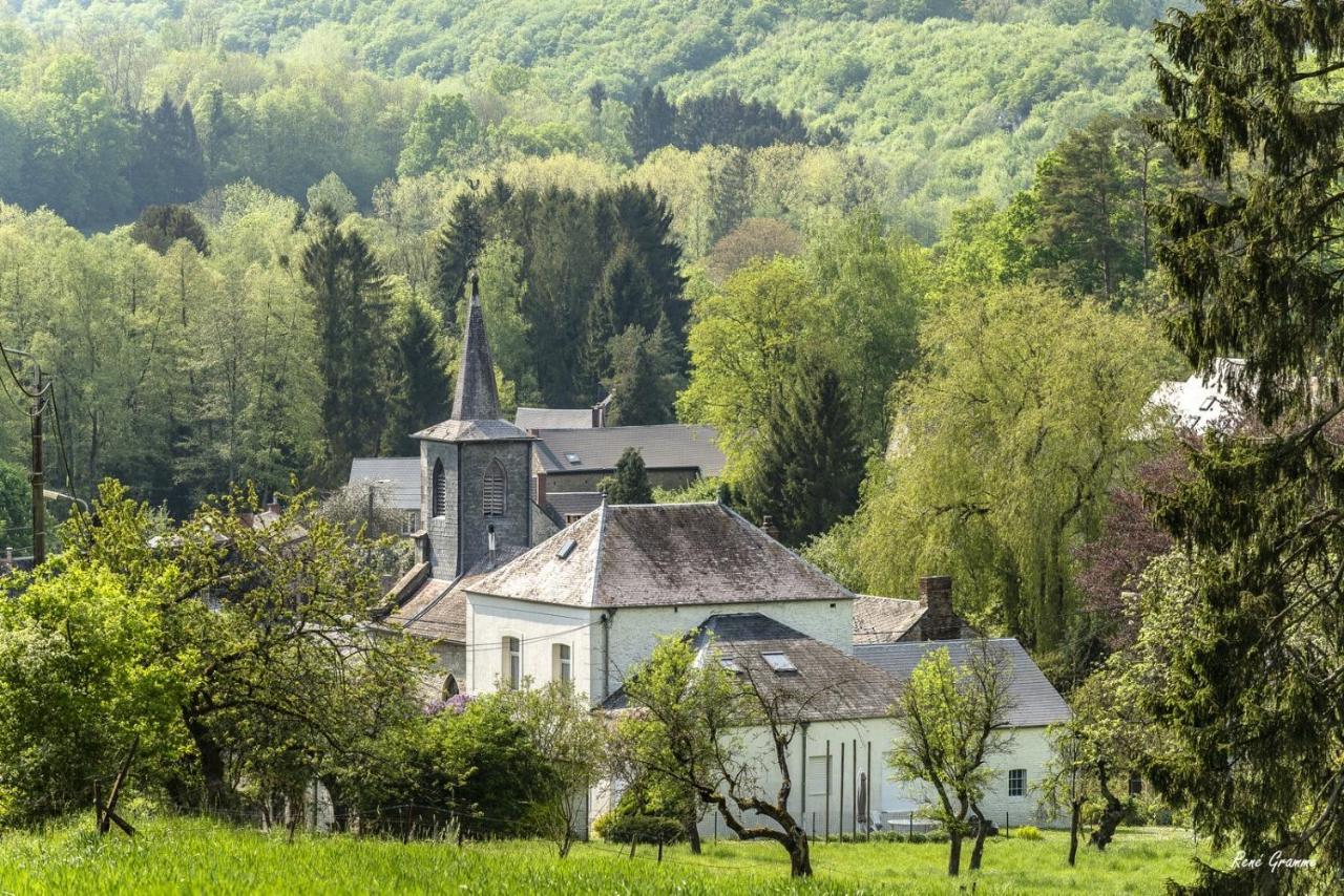 Gezellige Villa Met Open Haard En Zonnige Tuin. Doische Exteriér fotografie